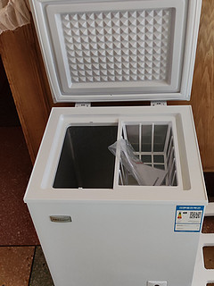 荣事达（Royalstar）小冰柜家用小型冷冻保