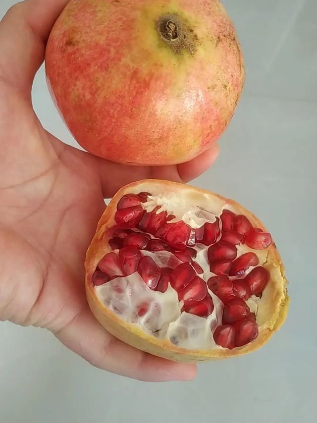 终于吃到了熟透的石榴，每一颗都是晶莹剔透