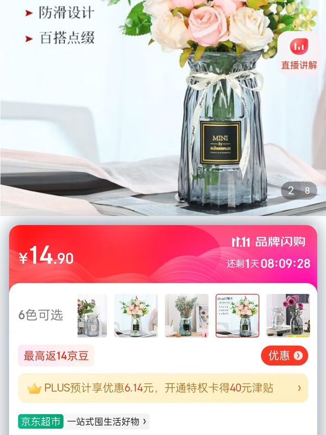 ​盛世泰堡 北欧玻璃花瓶插花瓶干花满天星