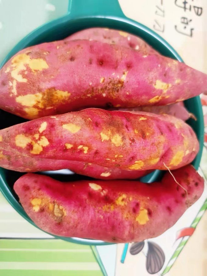 薯小萌蔬菜