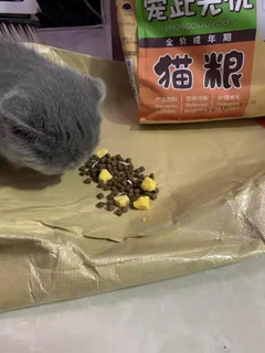 这种猫粮很不错的，猫咪很喜欢吃的