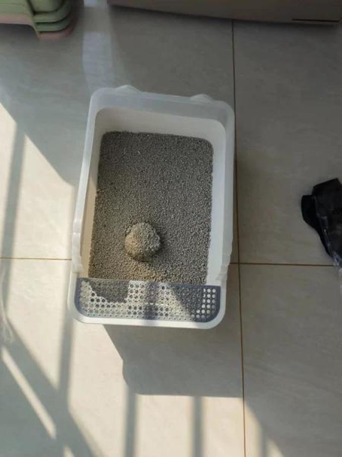 瓜洲牧猫砂