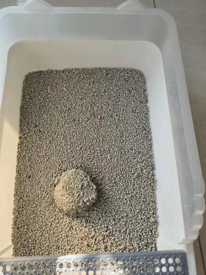 瓜洲牧猫砂