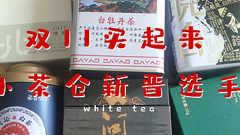 【双十一买起来】小茶仓新晋选手——已开罐的白茶，凑单满减后的百元口粮茶
