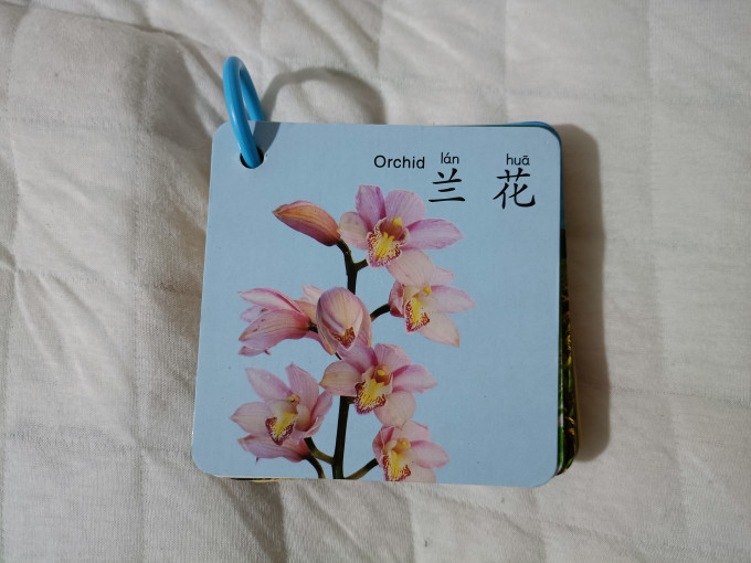 早教启智