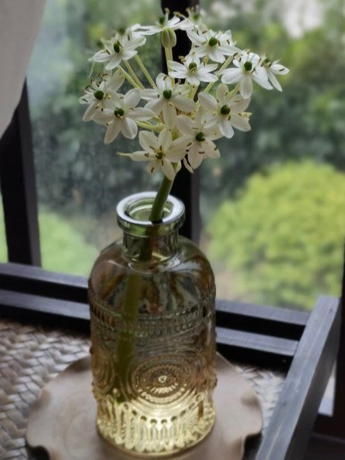 家里用这个玻璃花瓶插花，颜值拉满
