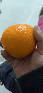 水多无核的果冻橙