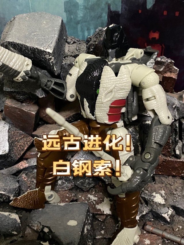 远古进化！白钢索～