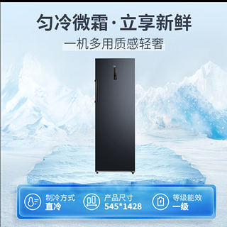 美的(Midea)200升 家用囤货立式冰柜 一级能