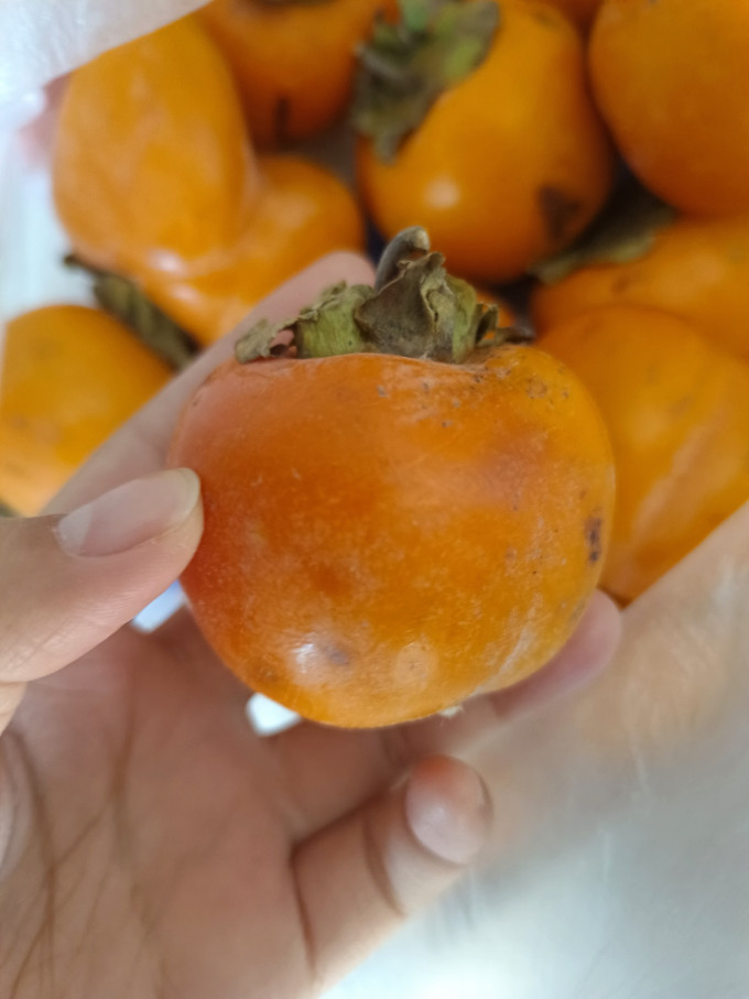 张小壮其他水果