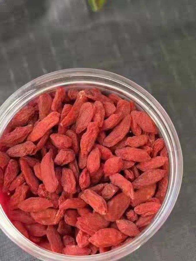 榕芝堂蜜饯果脯