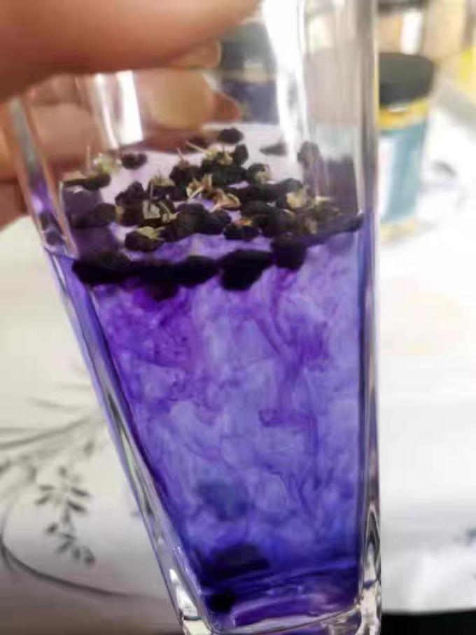 榕芝堂蜜饯果脯