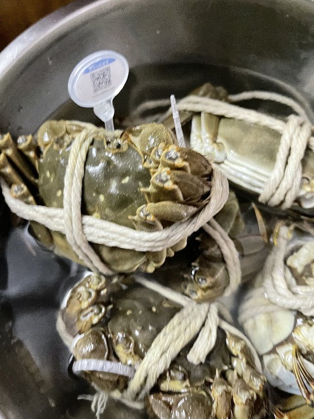 pdd 百元大闸蟹