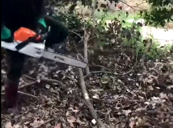电锯