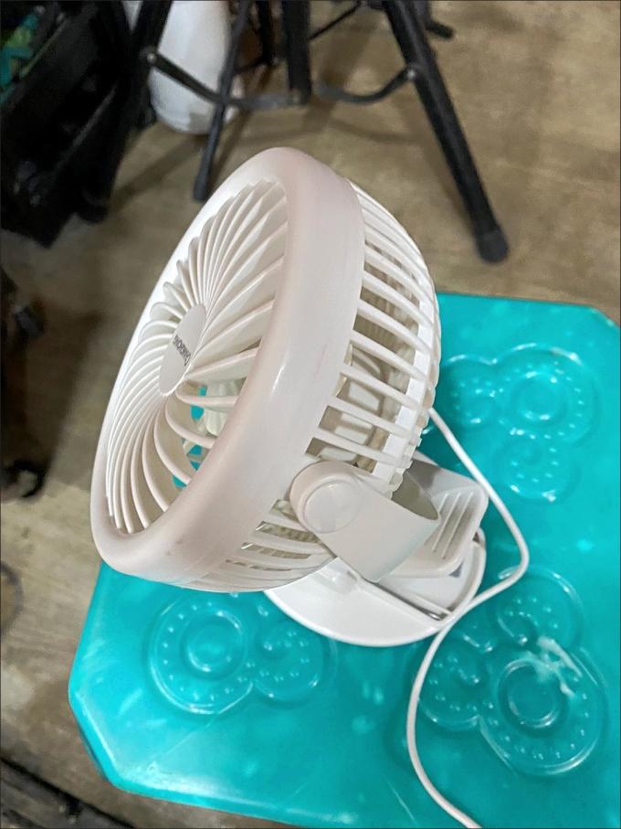 长虹电风扇