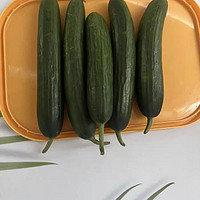 寿光蔬菜水果黄瓜生吃脆新鲜5斤青瓜荷兰当