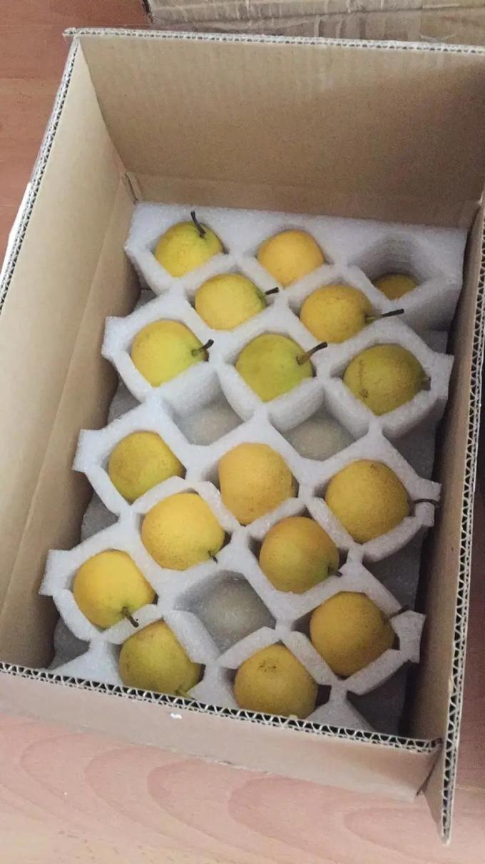 樱慕晴其他水果