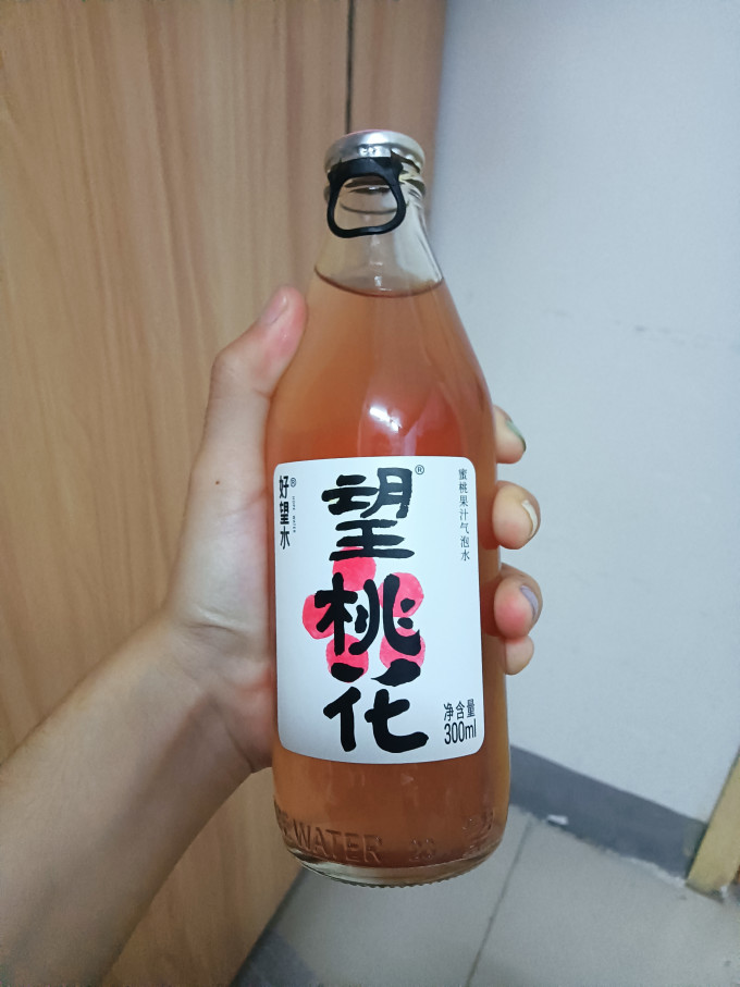 好望水果汁饮料
