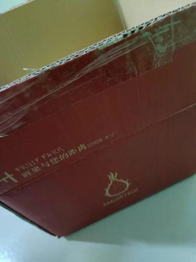 金都火龙果