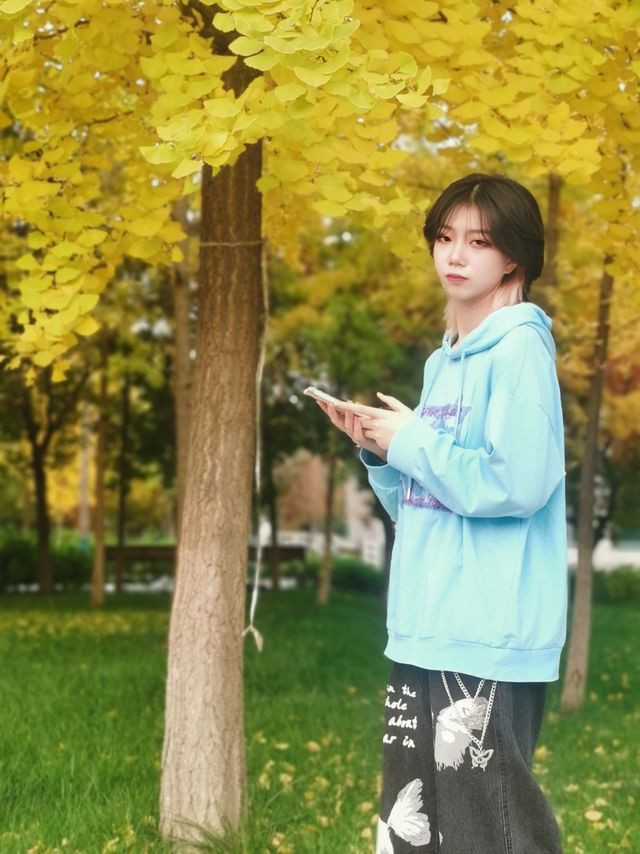 银杏树叶黄了，换身衣服去拍照~
