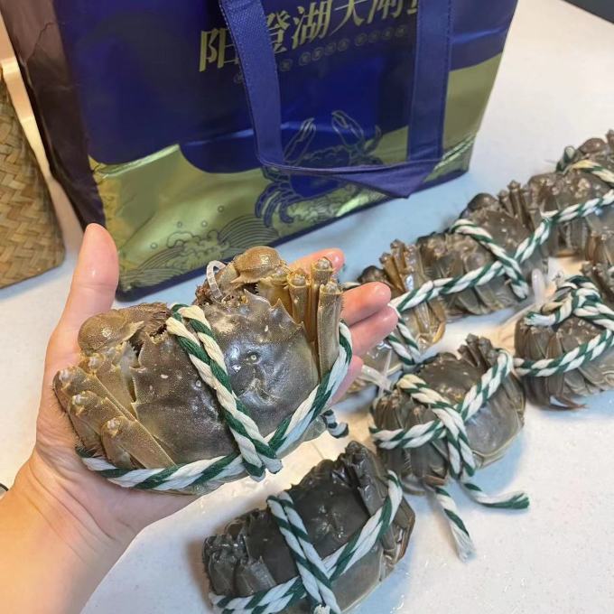 蟹类