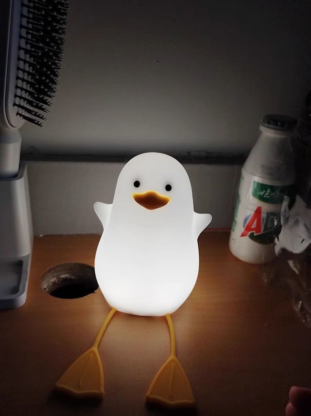 漂亮的小夜灯