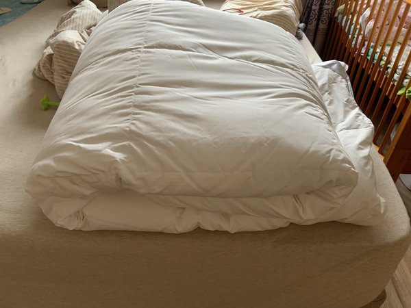 389的鹅绒冬被