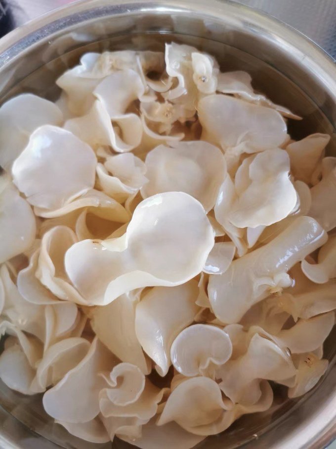 长白山菌菇木耳