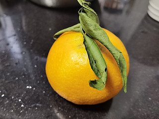 不完美但还算可以的果冻橙