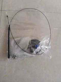 小猫咪的逗猫棒来啦