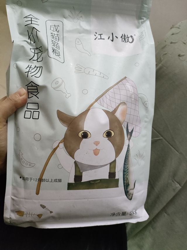 傲娇小萌猫主子的最爱喵喵喵
