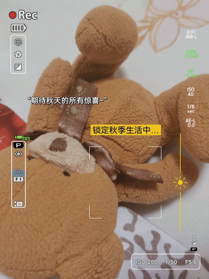 毛绒布艺