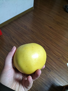 葡萄柚除了个头小点是真的好吃！！