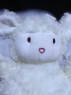 小羊玩偶真是可爱极了