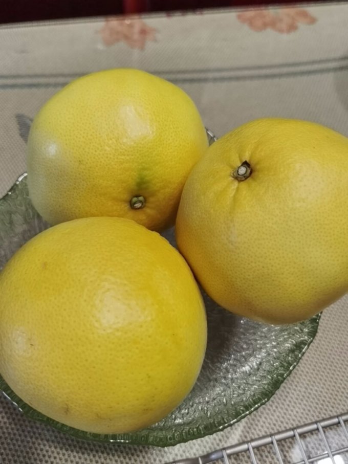 柚子怎么样 黄金葡萄柚,秋季干燥补水不二的..._什么值得买