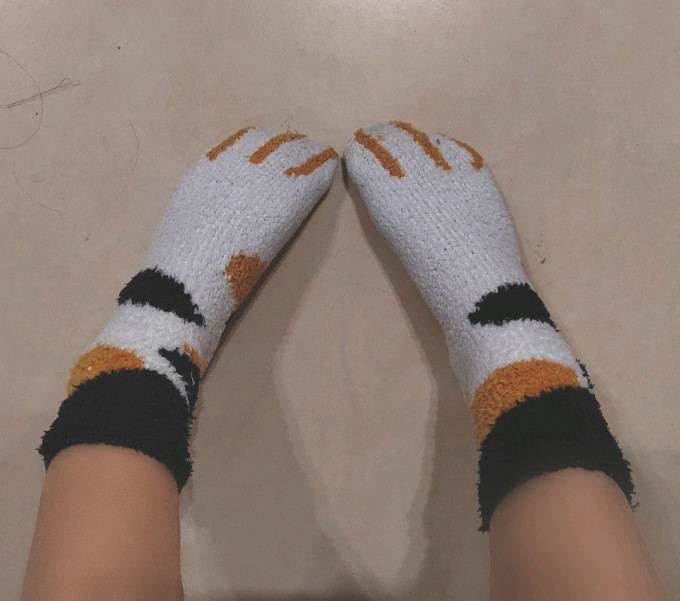 女袜