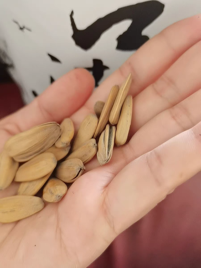 华味亨瓜子