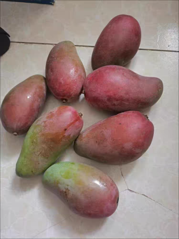 新鲜水果