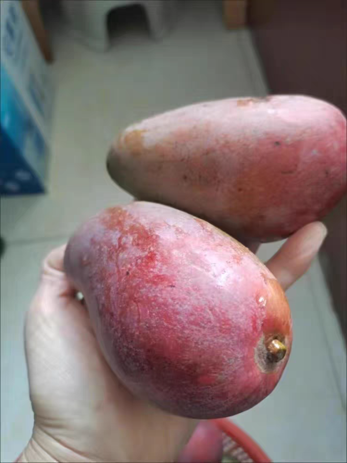 新鲜水果