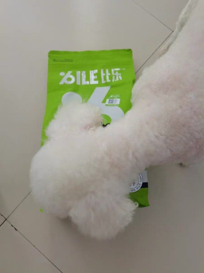 狗狗干粮