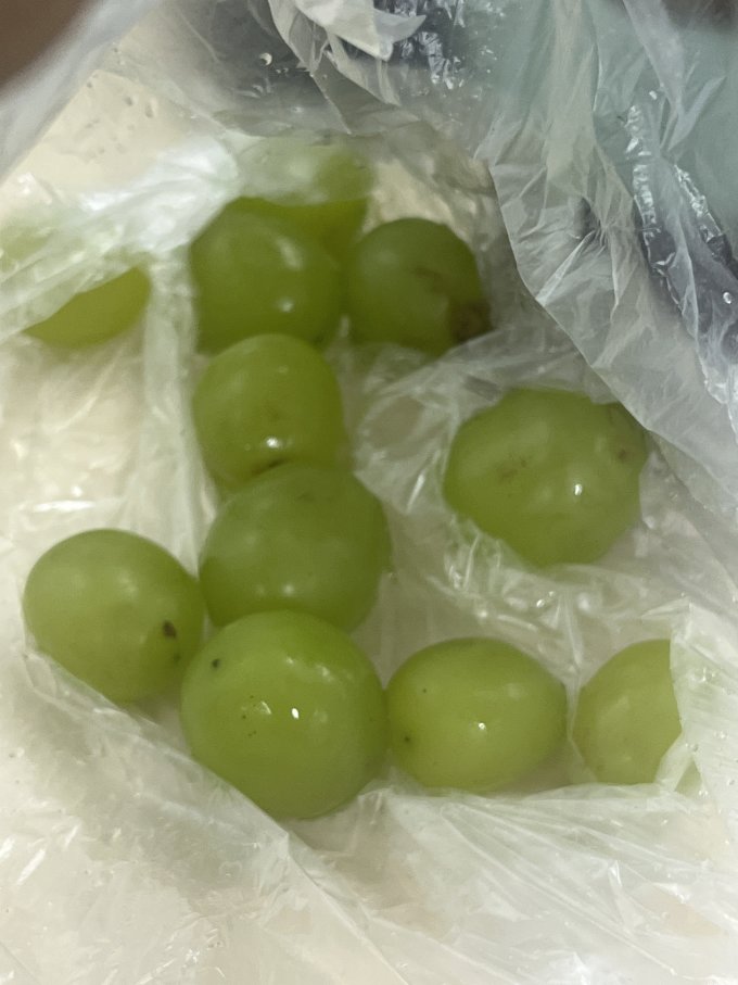 飞犇葡萄/提子