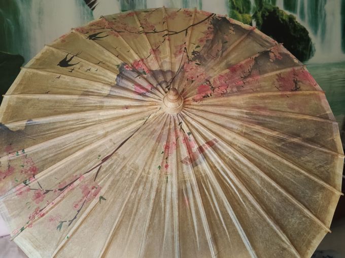 毕六福雨伞雨具