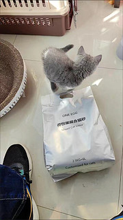 包装超级可爱的猫砂