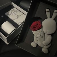 ROSEONLY永生花甜心兔告白熊公仔玫瑰情人节