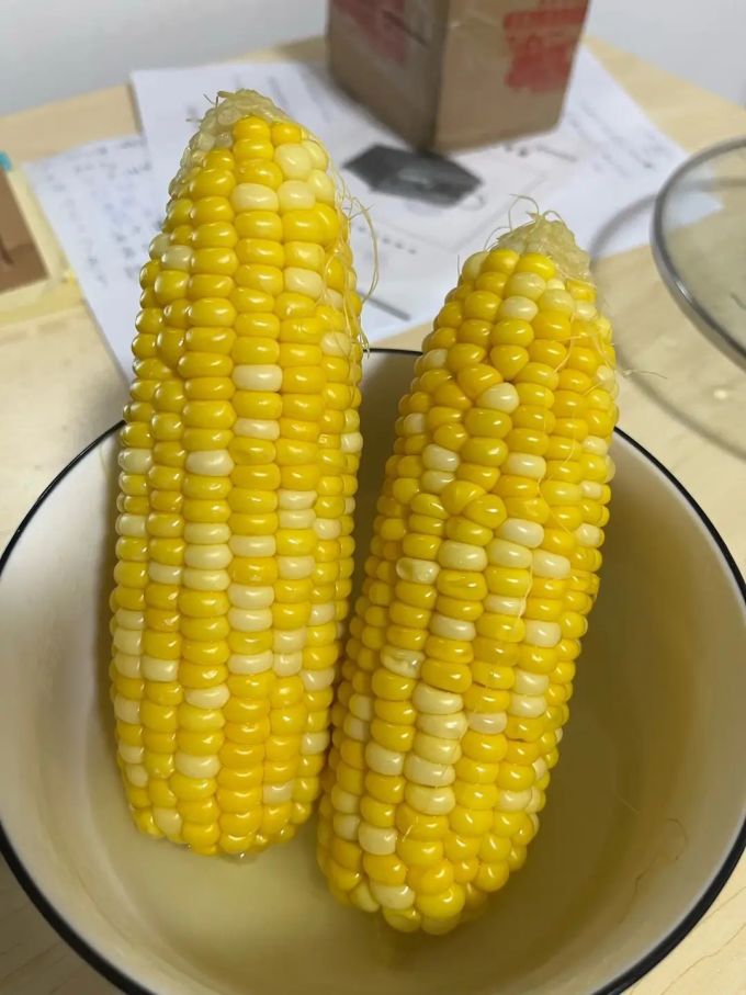蔬菜