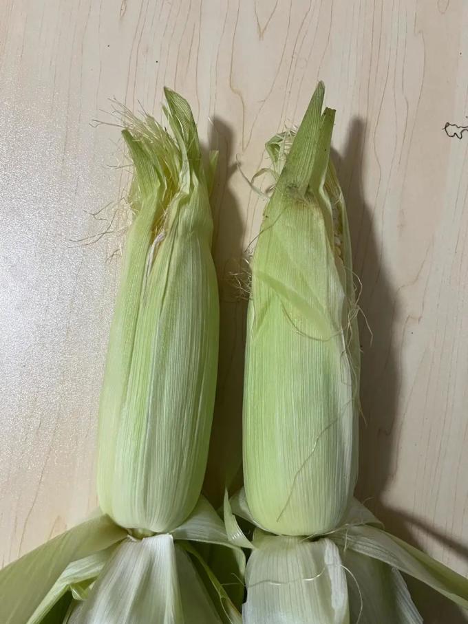 蔬菜