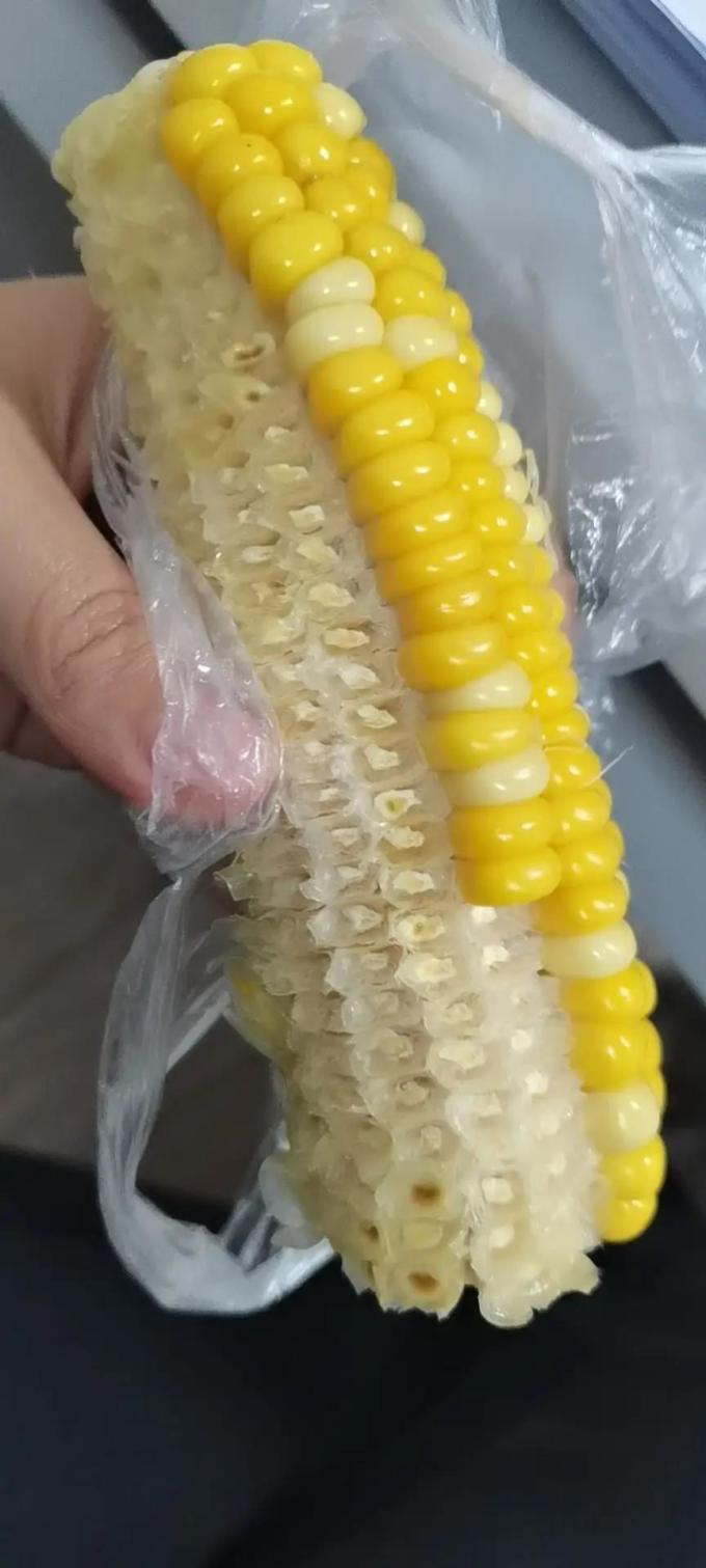 蔬菜