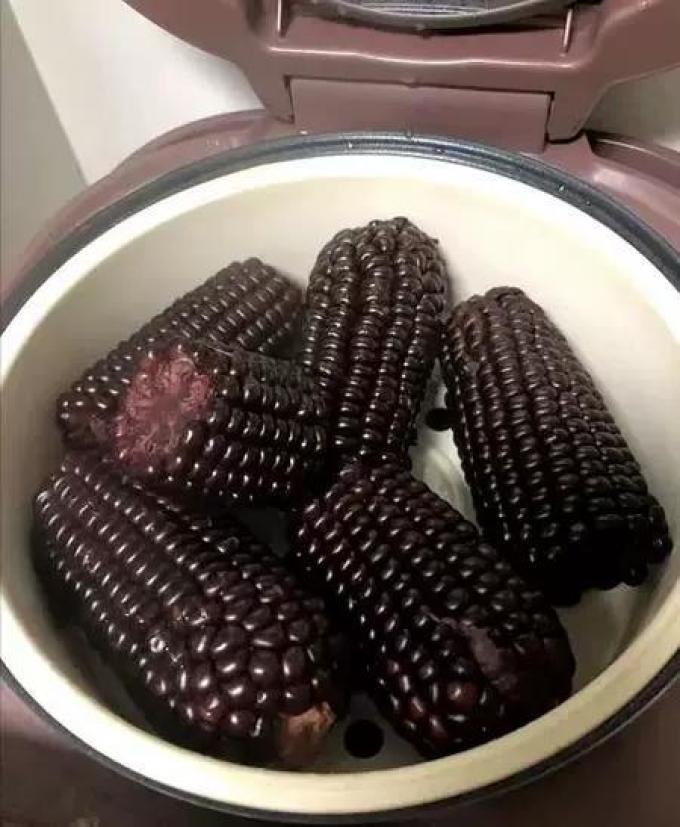 问君蔬菜