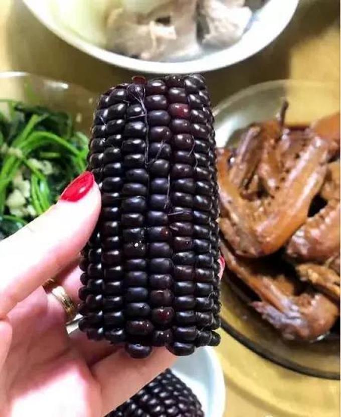 问君蔬菜
