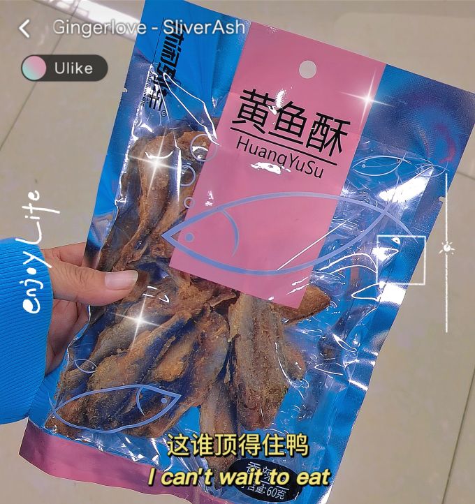 其他肉脯